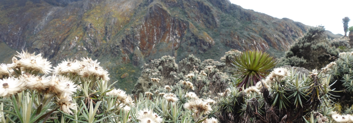 6 Days Wesimann peak to Rwenzori