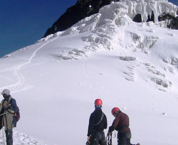 8 days Rwenzori Central Circuit Trek