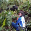 Gorilla trekking