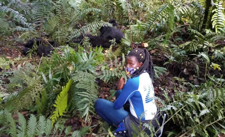 Gorilla trekking