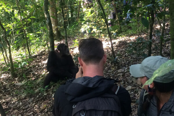 When (best time) to visit Kibale Forest national Park