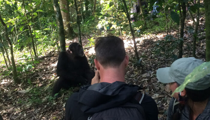 When (best time) to visit Kibale Forest national Park