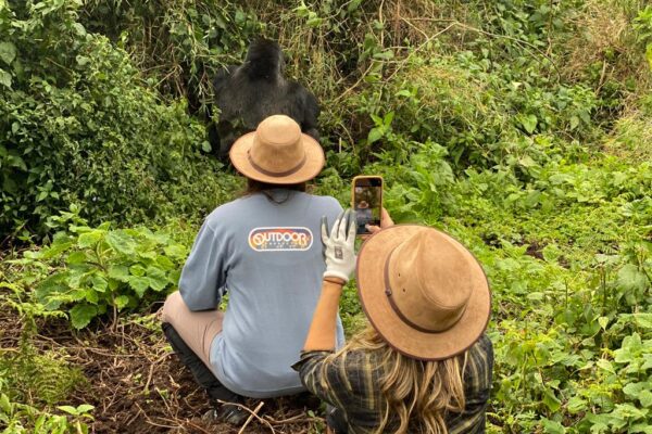 1 Day Rwanda Gorilla Trekking