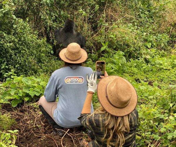 1 Day Rwanda Gorilla Trekking