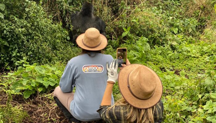 1 Day Rwanda Gorilla Trekking
