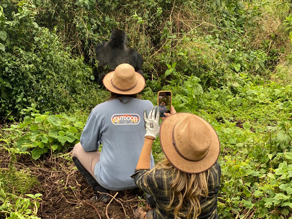 1 Day Rwanda Gorilla Trekking