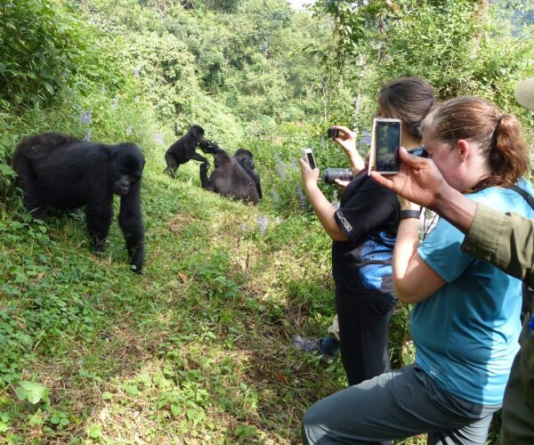 3 days Uganda Gorilla Trekking