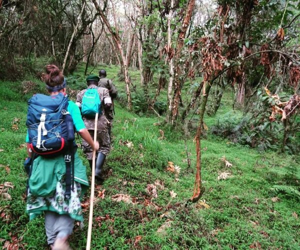 3 days Rwanda Gorilla Trekking Safari