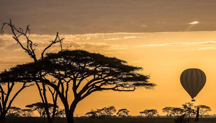 3 days serengeti baloon safaris