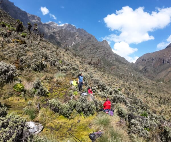 7 Days Rwenzori Kilembe Trail Trek