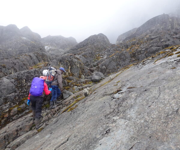 5 Days Rwenzori Trekking to margherita