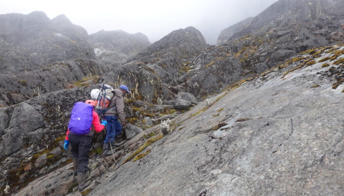 5 Days Rwenzori Trekking to margherita