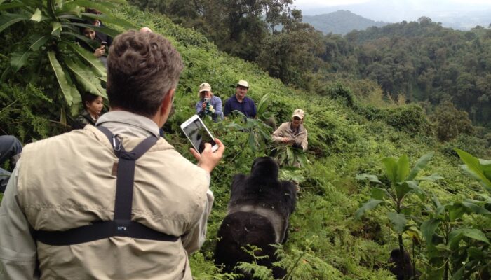 Rwanda Safari-gorilla trekking