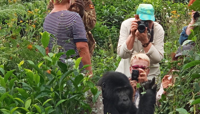 7 Days Rwanda Gorillas & Wildlife Safari