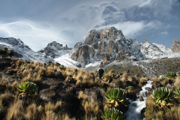 Mount Kenya summit