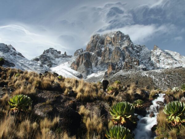 Mount Kenya summit