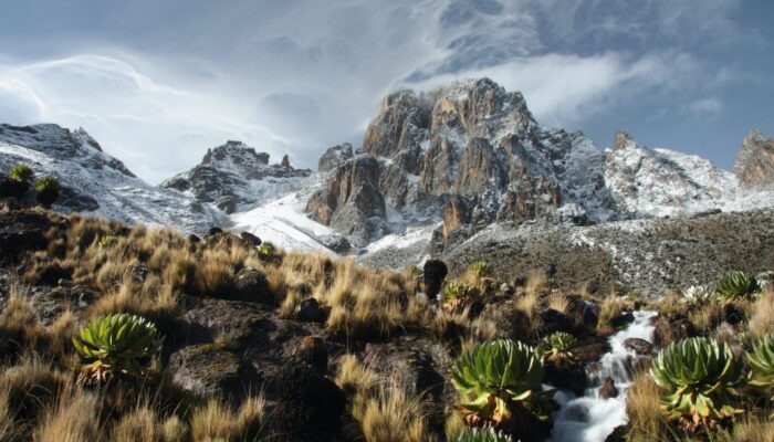 Mount Kenya summit
