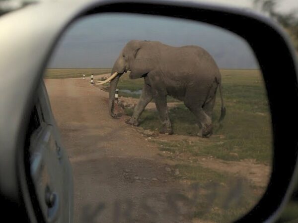 amboseli-national-park