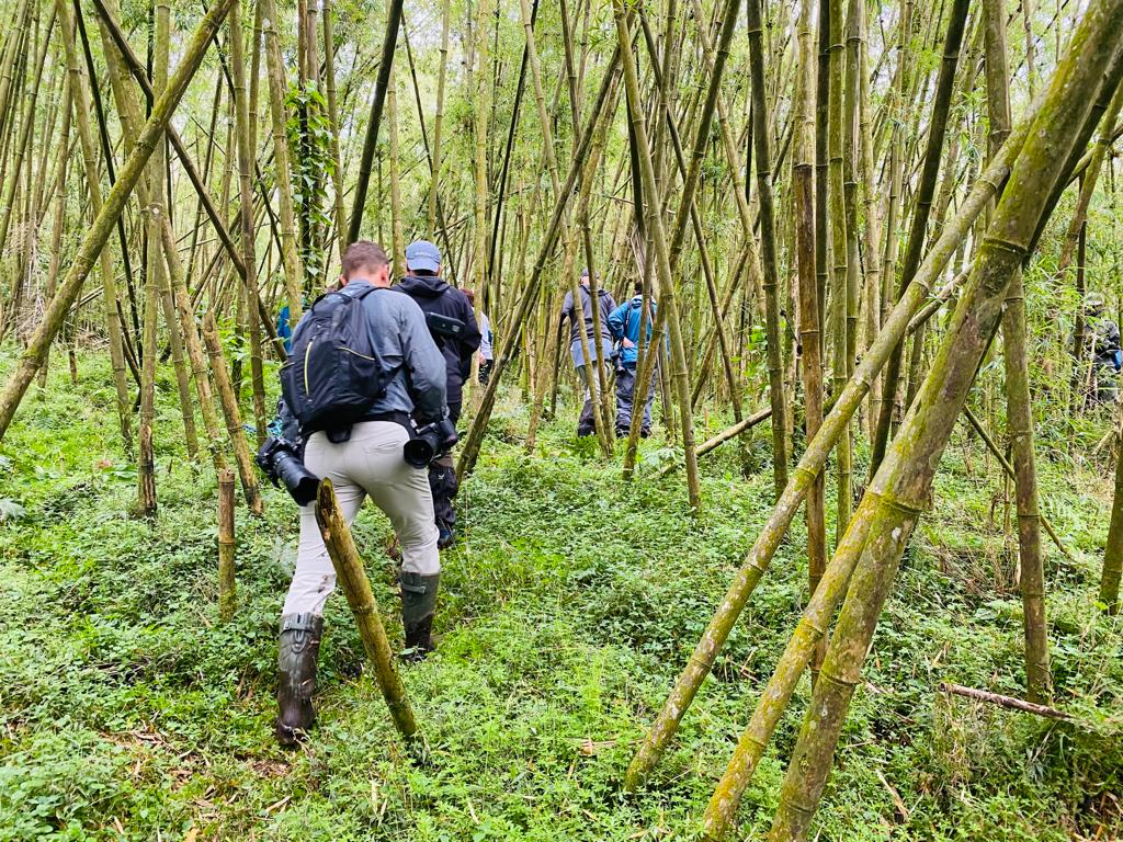 How to get to Volcanoes National Park