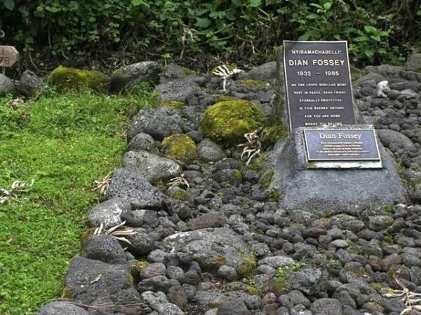 dian fossey grave