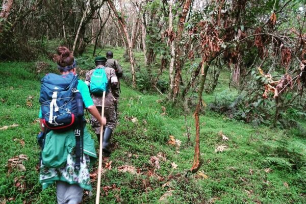 16 Days Double Gorilla trek ,Rwenzori & Chimps