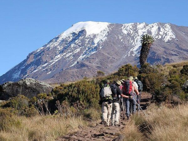 Climbing Mount Kilimanjaro through Marangu route