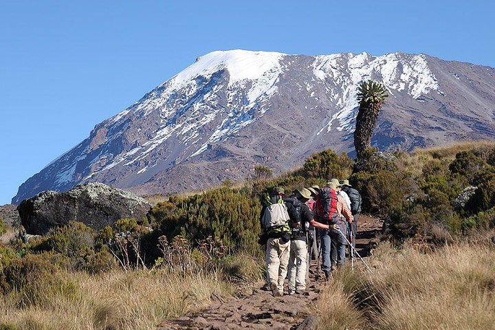 Climbing Mount Kilimanjaro through Marangu route