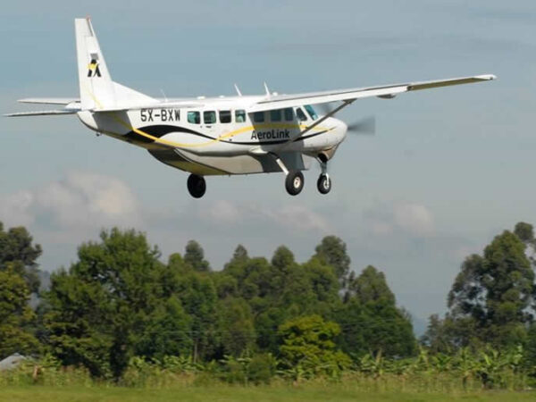 fly to mgahinga national park