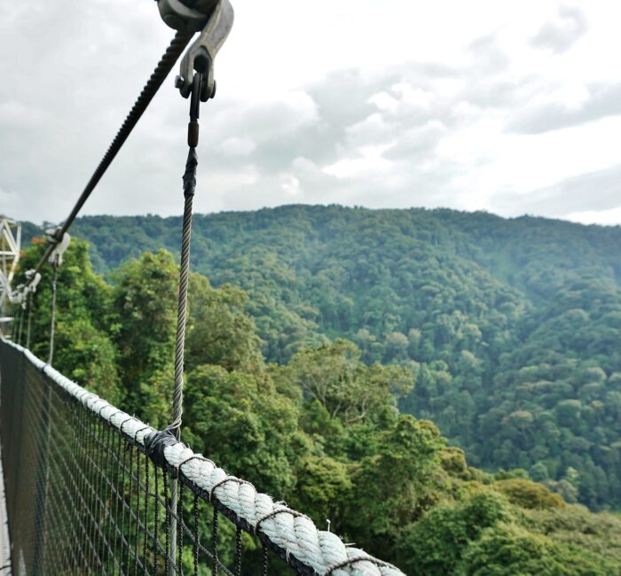 Nyungwe National Park