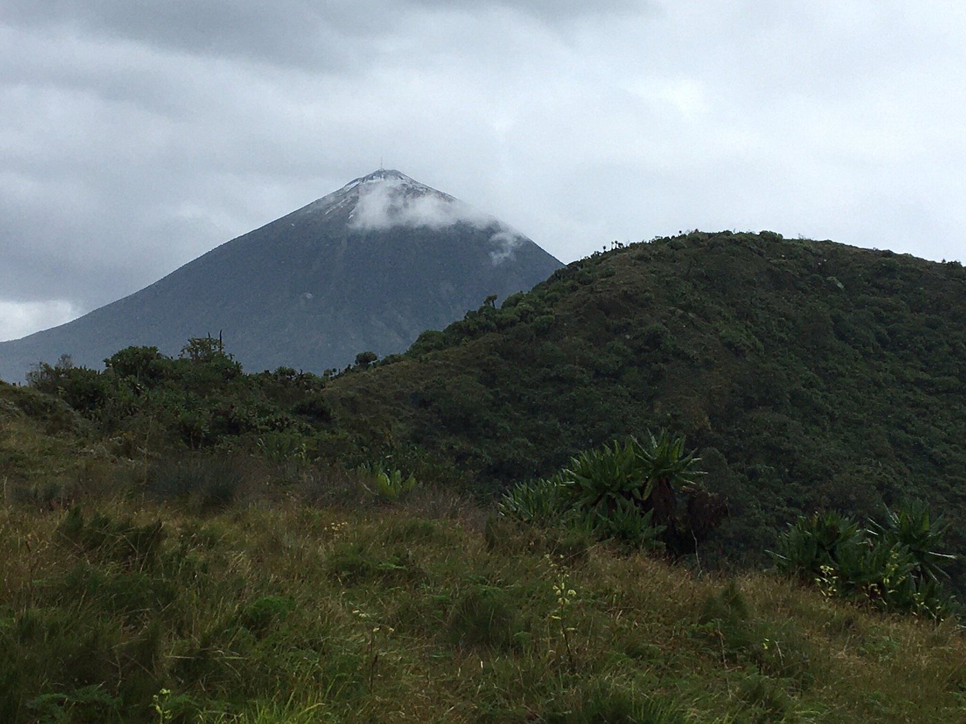 4 days Rwanda Gorillas trekking & Mount Karisimbi Hike