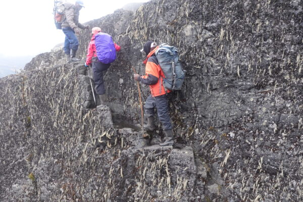 climbing to Elena hut