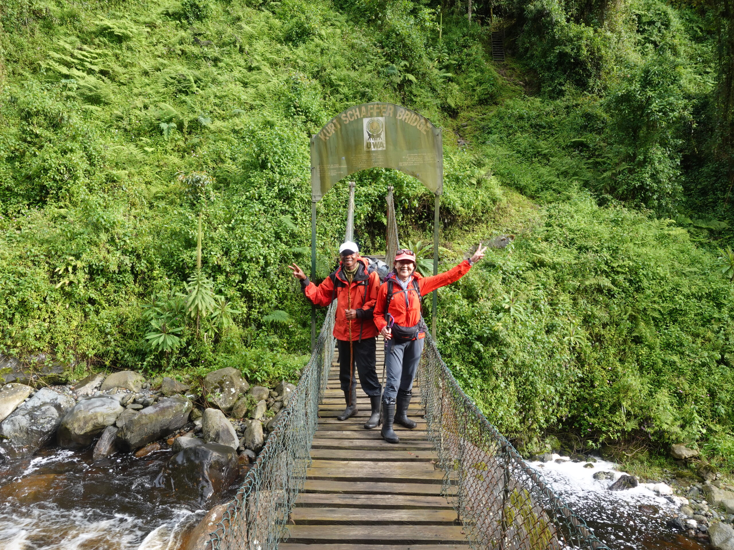 12 days Rwenzori & Gorilla trekking