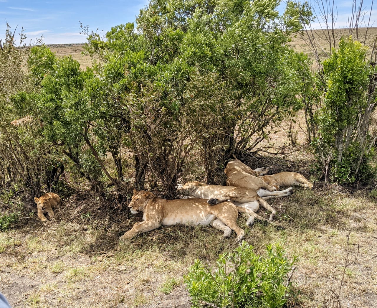 3 day Masai mara