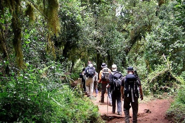 How to get to Mount kenya