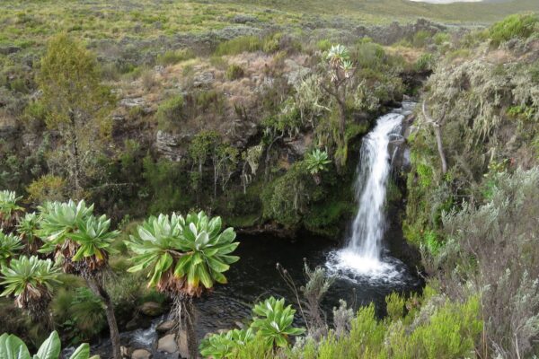 waterfall in mount kenya