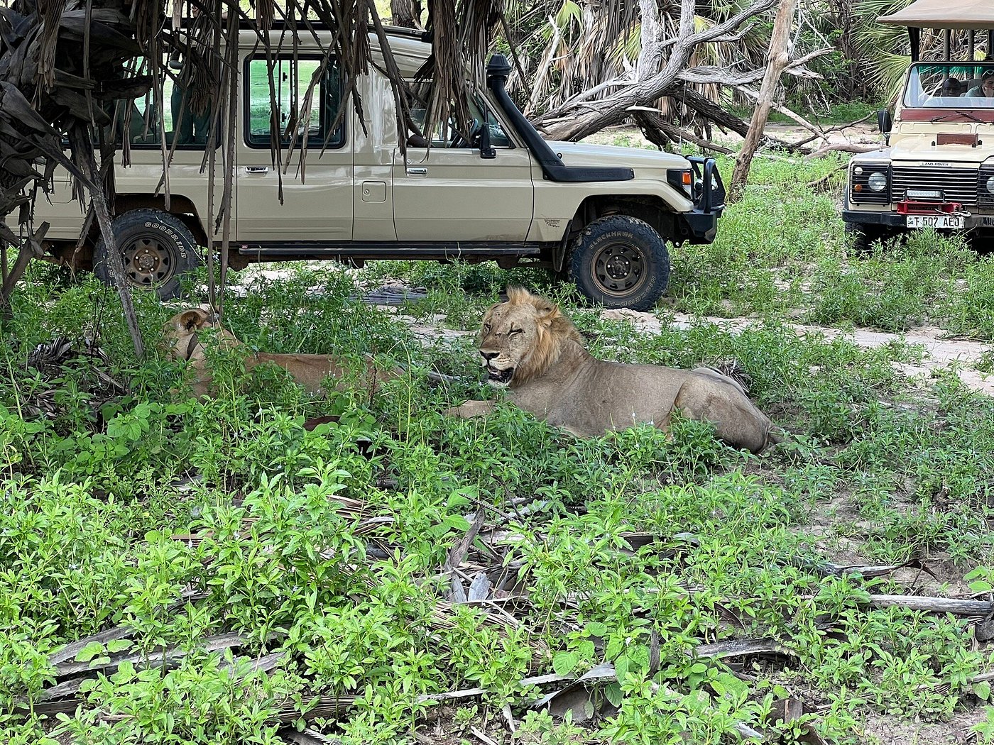 3 days Selous Game Reserve