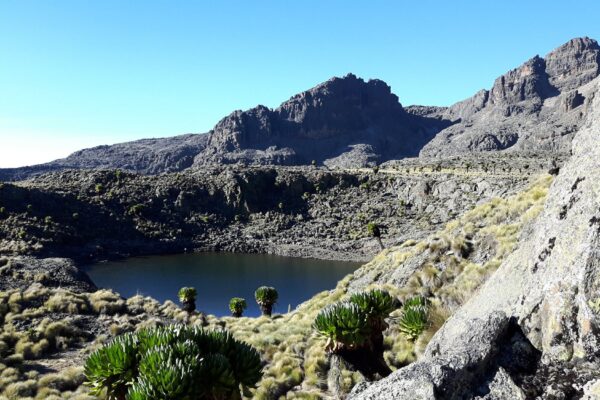 Mount Kenya National Park lake tour