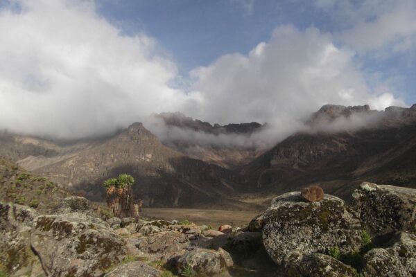 snow capped mt kenya