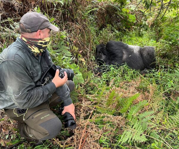 Best Time To visit Mgahinga Gorilla National Park