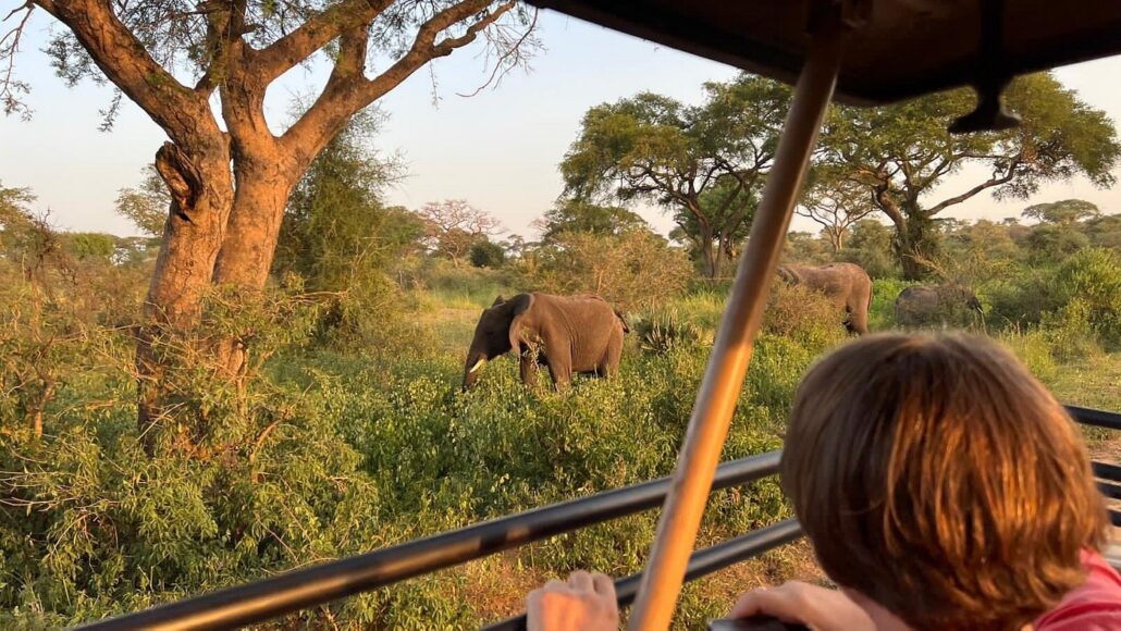 Murchison Falls National Park