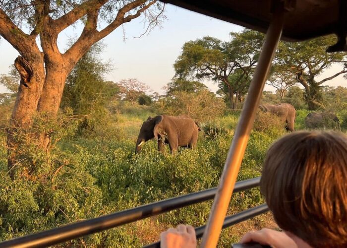 Murchison Falls National Park