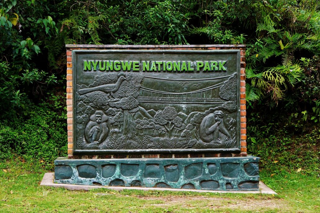 Getting to Nyungwe National Park