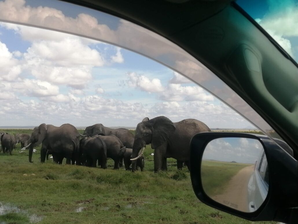 Amboseli National Park