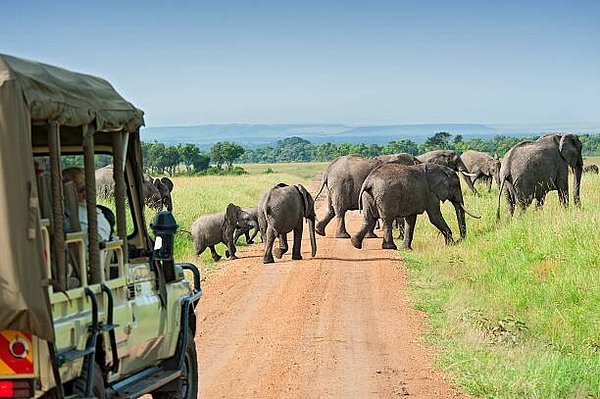 How to get to Queen Elizabeth National Park by road