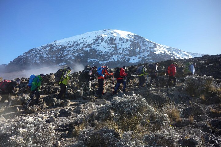 6 days mount kilimanjaro hiking rongai