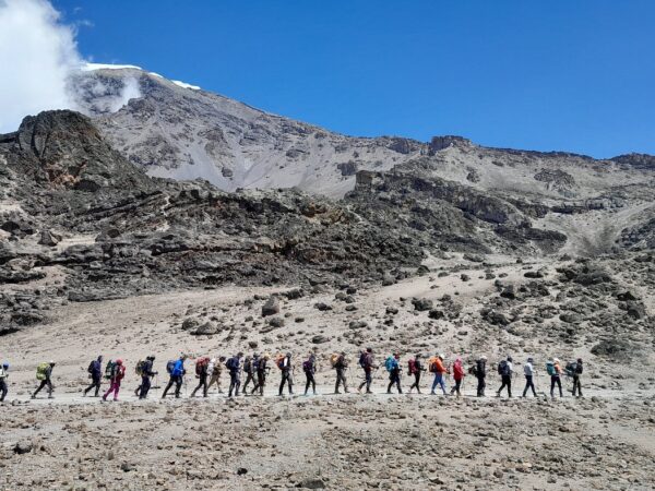 7 days Mount Kilimanjaro trekking Lemosho route