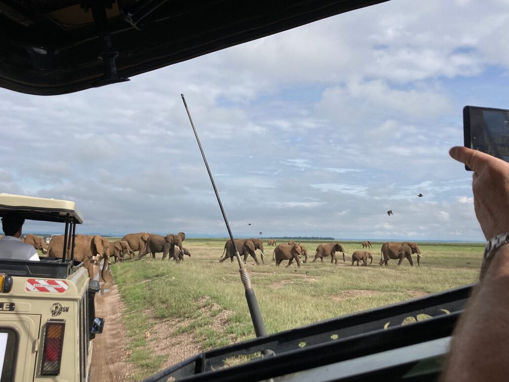 When is the best time to visit Tsavo West National Park