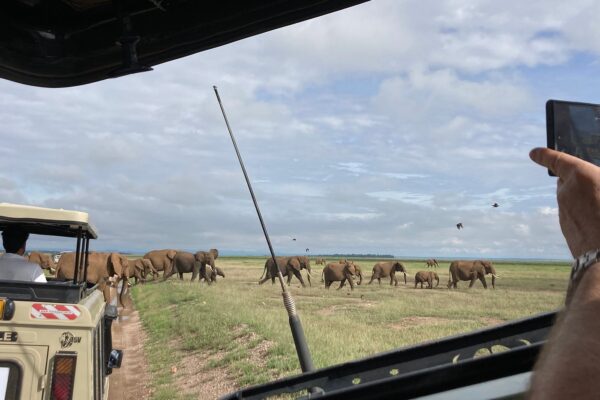 When is the best time to visit Tsavo West National Park