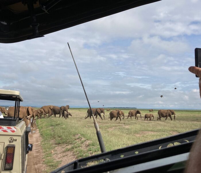 When is the best time to visit Tsavo West National Park