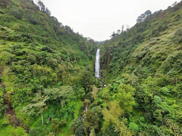 3 days materuni waterfalls, coffee tour & Kikuletwa hotsprings